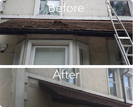 Gallery | CJ's Window Cleaning Services